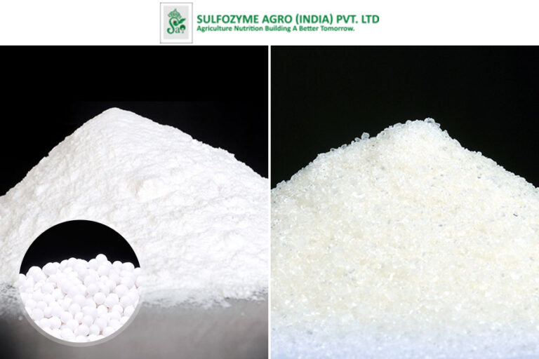 Improving Soil Health with Zinc Sulfate Applications Sulfozyme