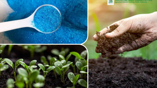 copper sulfate