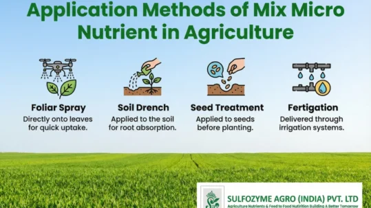 application methods of mix micro nutrient in agriculture