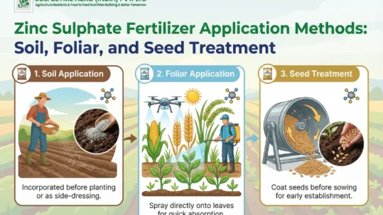 zinc sulphate fertilizer application methods soil, foliar and seed treatment